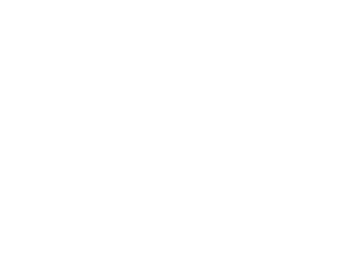 Logo MAGEM Congo en blanc
